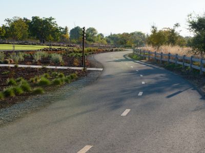 Bike Path